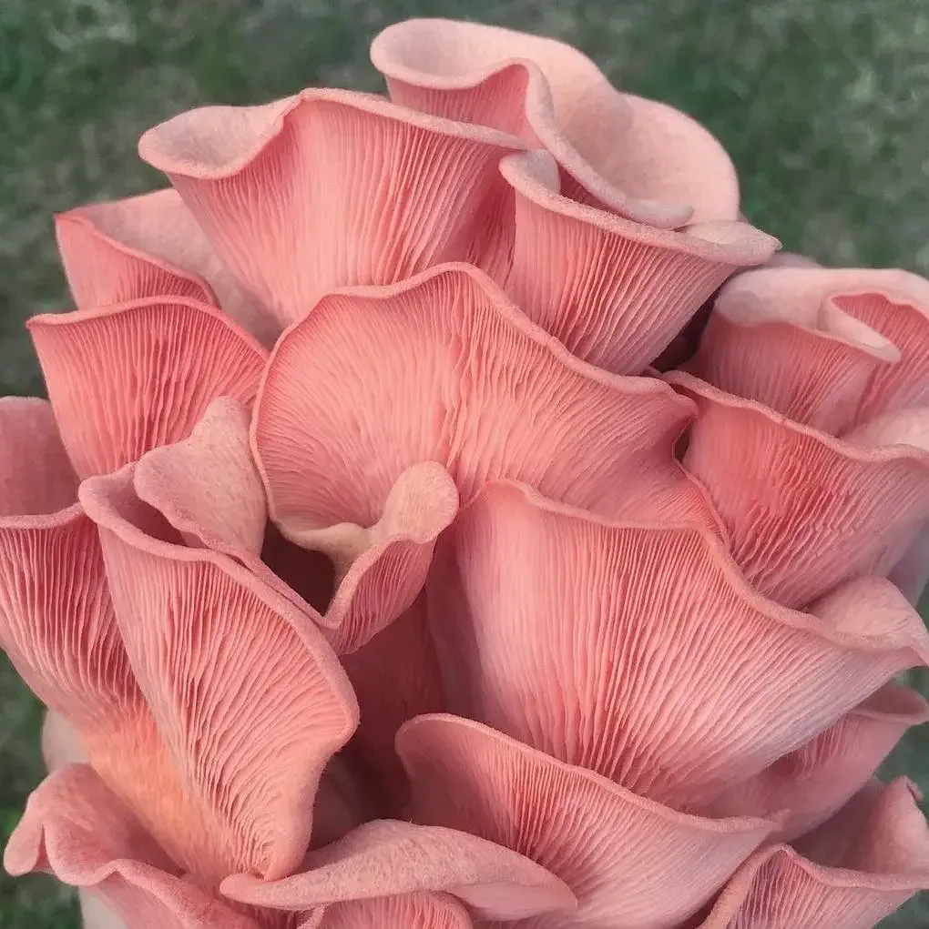 02CF18DC-13A6-4726-A7D6-F9E4027003F7 2