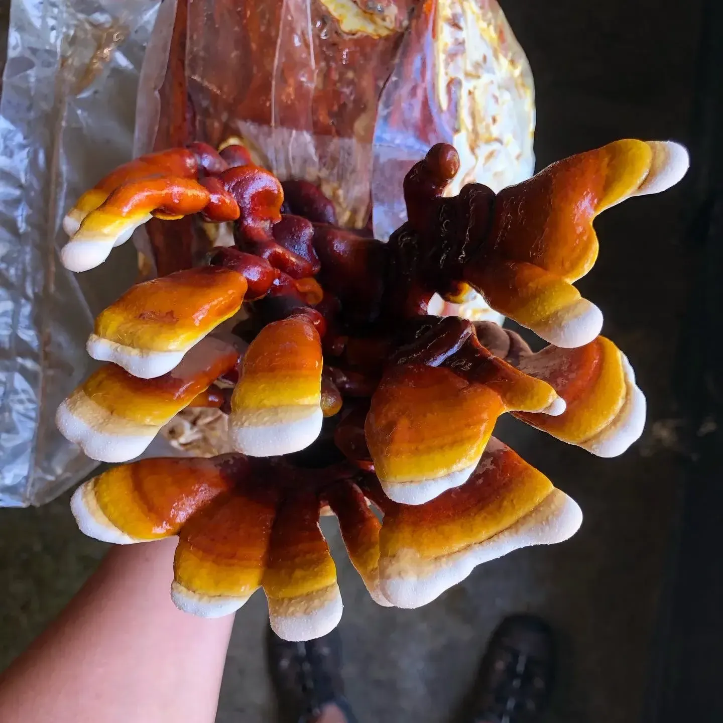 E4CC10CC-59E7-4591-BF64-7483286D05CD