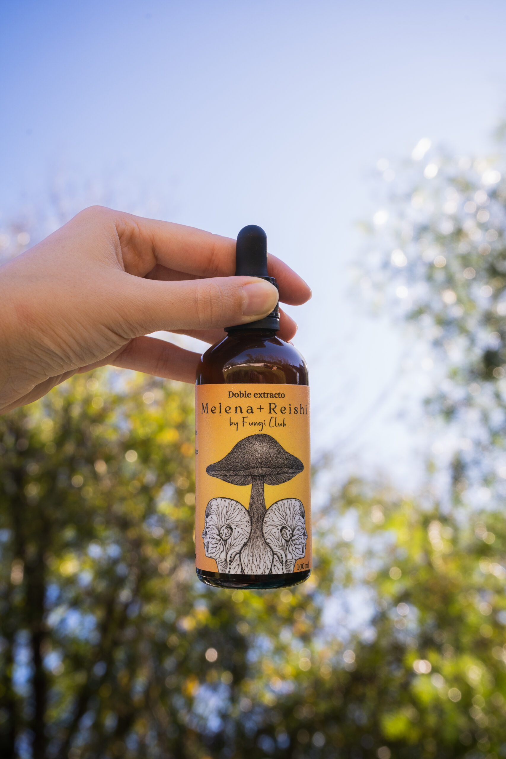 BLEND Melena de León y Reishi