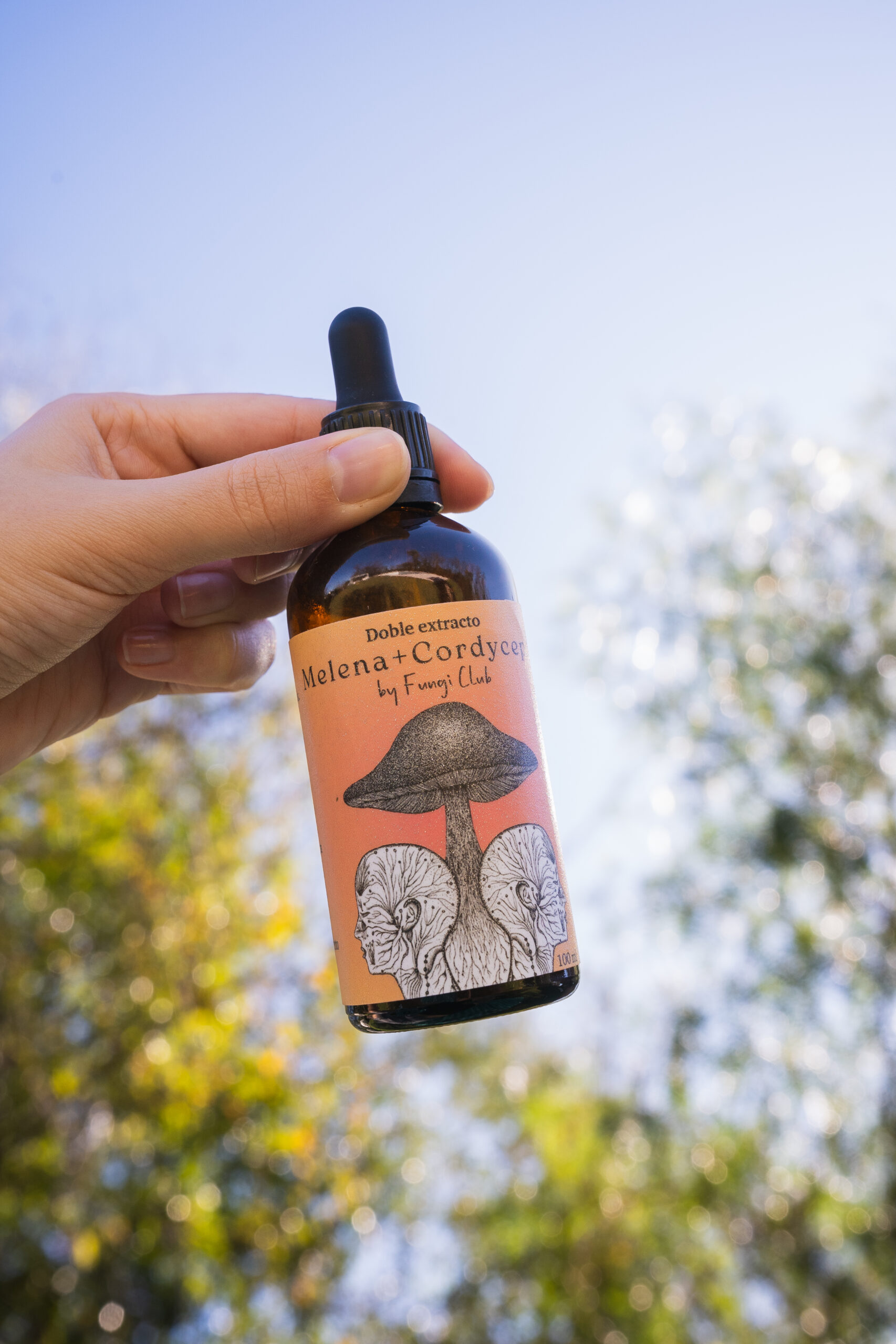 BLEND Melena de León y Cordyceps